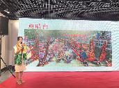 創(chuàng)新導(dǎo)賞服務(wù) 講好家鄉(xiāng)故事