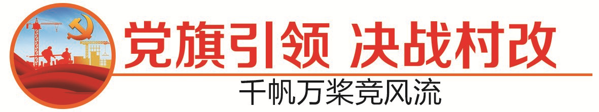 龍江鎮(zhèn)官田村、西慶村建設(shè)用地收儲方案高票通過表決