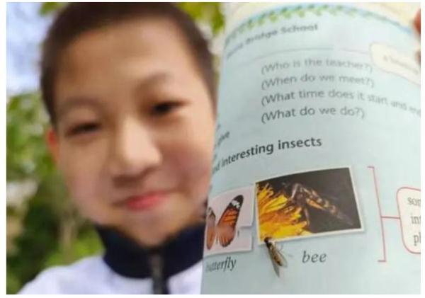后生可畏！又有學(xué)生發(fā)現(xiàn)教科書錯(cuò)誤，這次是上海10后！