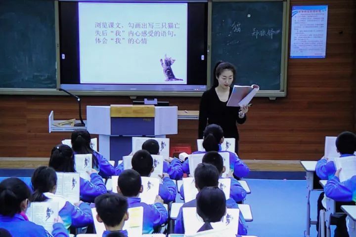 語(yǔ)文怪象：學(xué)的是草船借箭，考的卻是赤壁之戰(zhàn)，考得越廣學(xué)得越淺