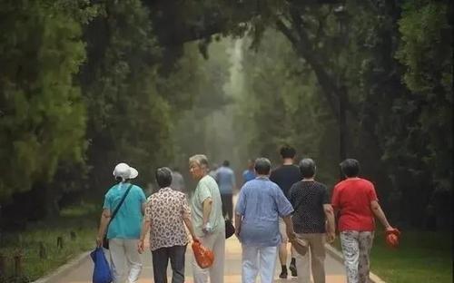 開放三胎政策“遇冷”，廈大教授提議：不生孩子就下調(diào)養(yǎng)老金