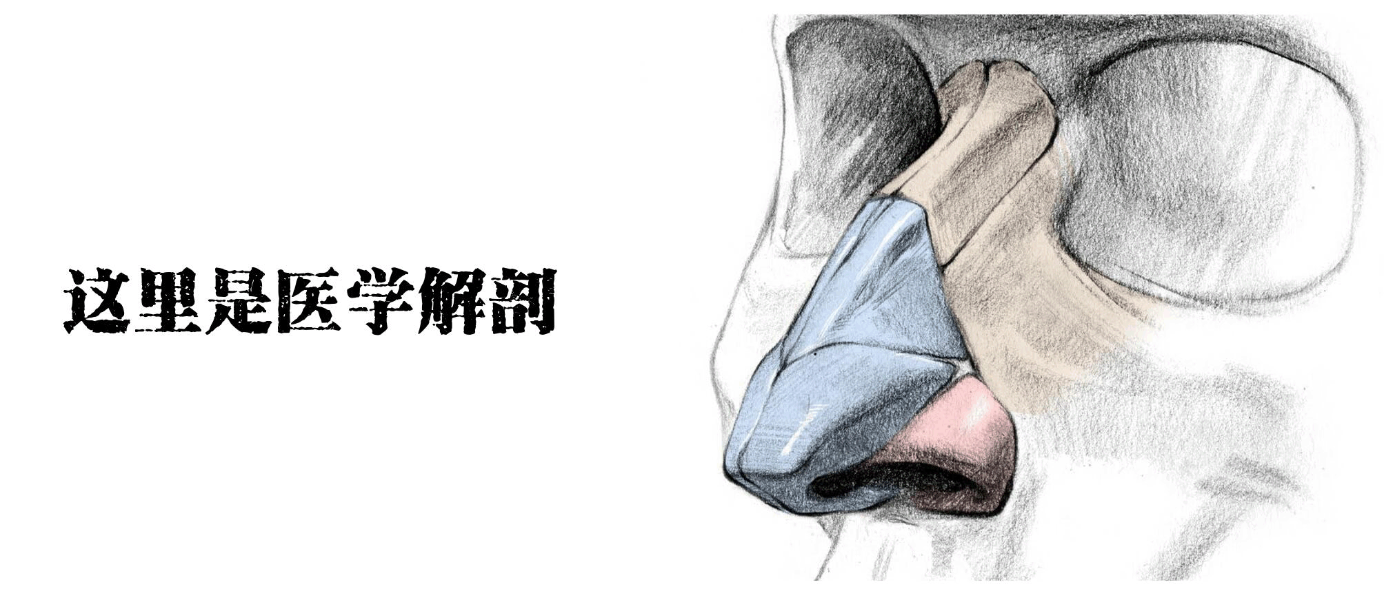 醫(yī)學(xué)生的考試到底有多難？看把學(xué)生都逼成啥樣了