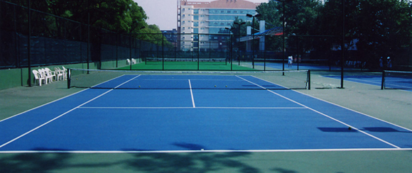 <a href=http://m.017771.cn target=_blank class=infotextkey>丙烯酸</a>球場廠家