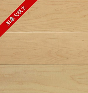 進(jìn)口北美楓木|進(jìn)口北美楓木價格|進(jìn)口北美楓木怎么樣