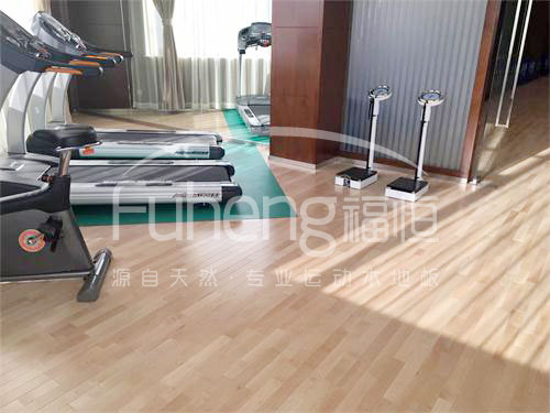 <a href=http://m.017771.cn target=_blank class=infotextkey>健身</a>房木地板-10fd
