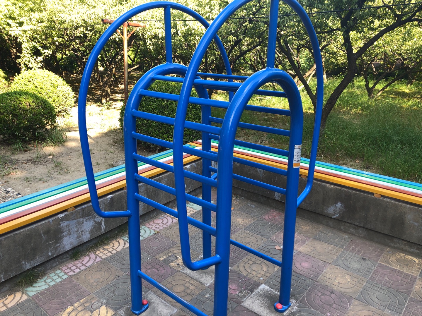伸背器