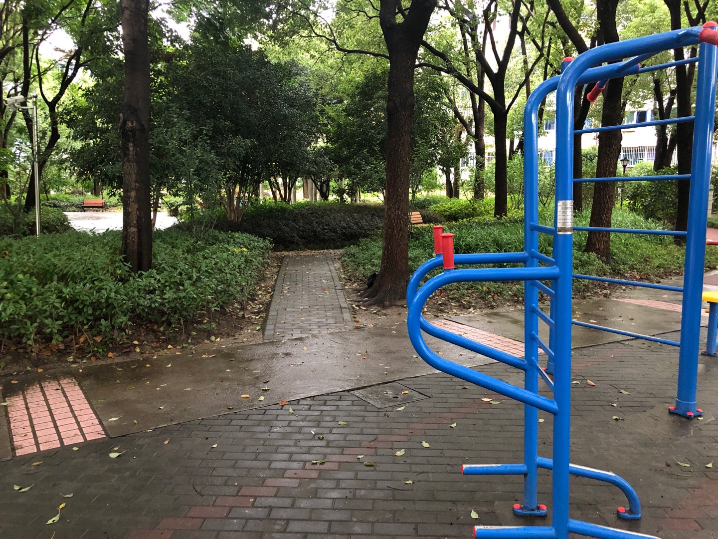 多功能鍛煉器