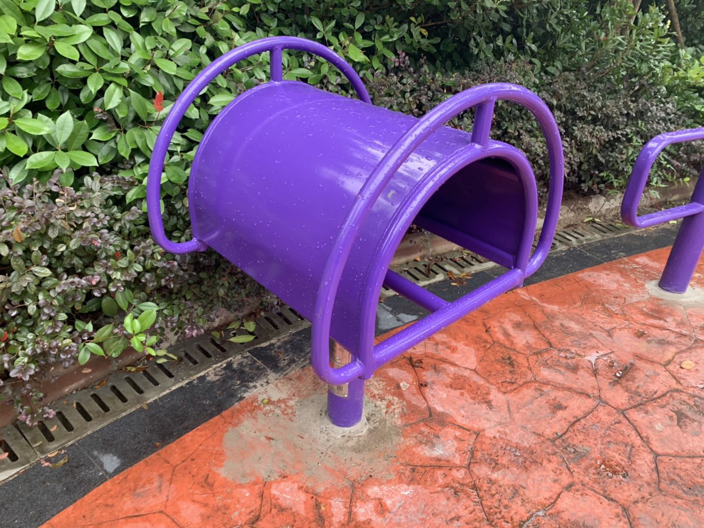 伸背器