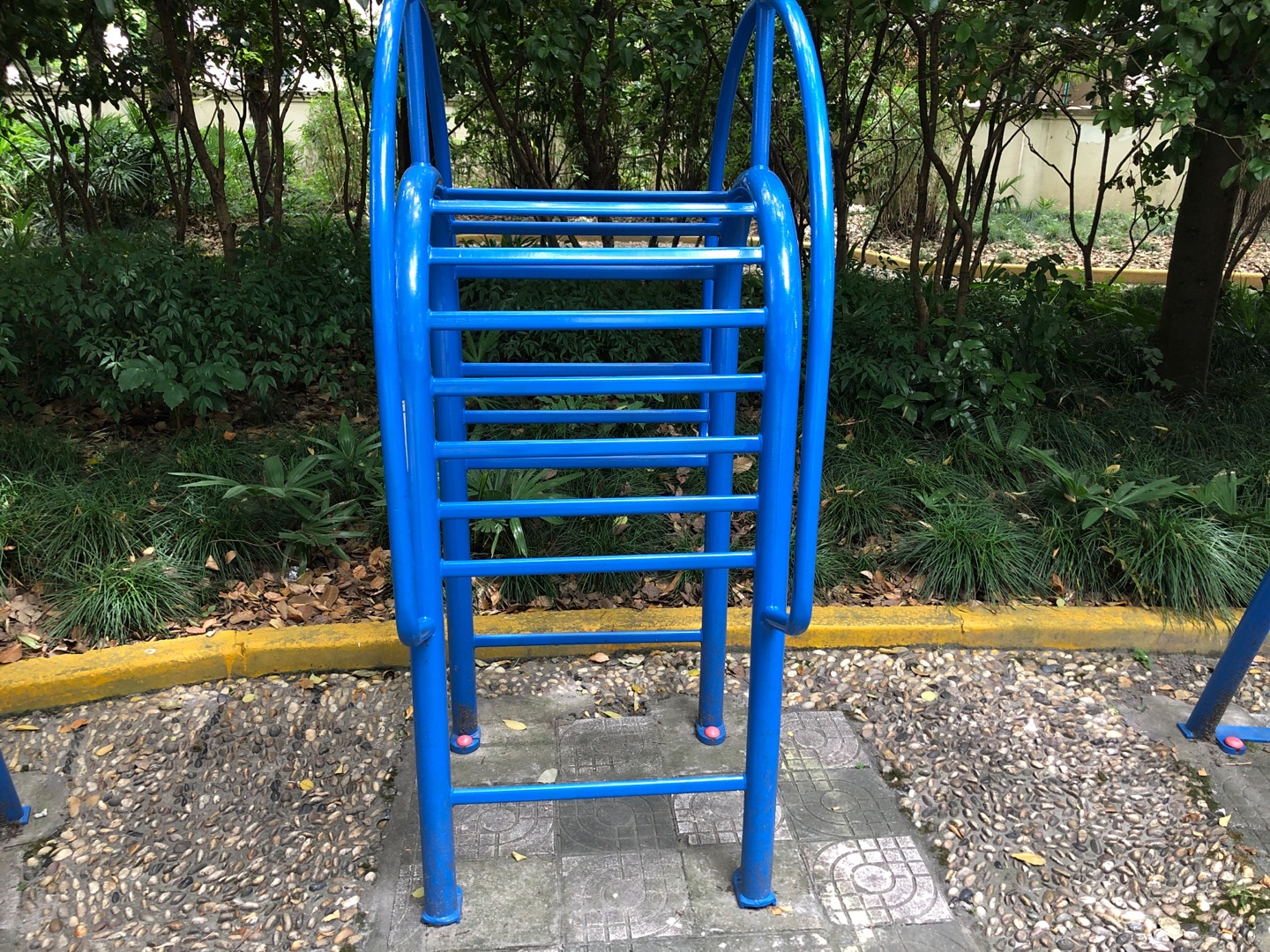 伸背器