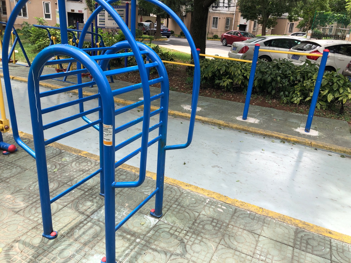 伸背器