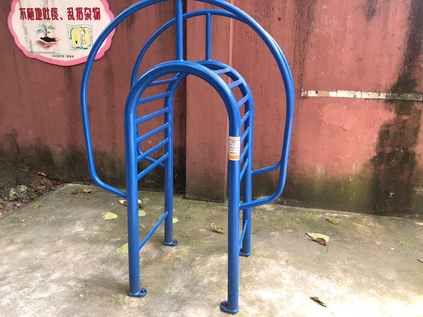 伸背器