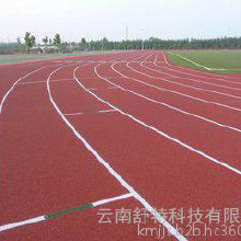 丙烯酸球場