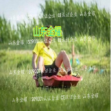 北京利達環(huán)保無毒丙烯酸球場材環(huán)保 體育設施材料 硅pu球場塑膠跑道老人院健身體育器材 體育游樂設施 體育健身器材供應商