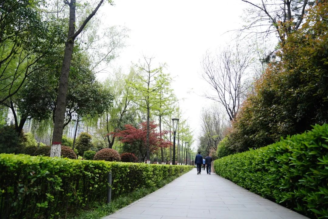 創(chuàng)文創(chuàng)衛(wèi)有你有我丨華商報：唐城墻遺址公園塑膠跑道開建 ！(圖3)